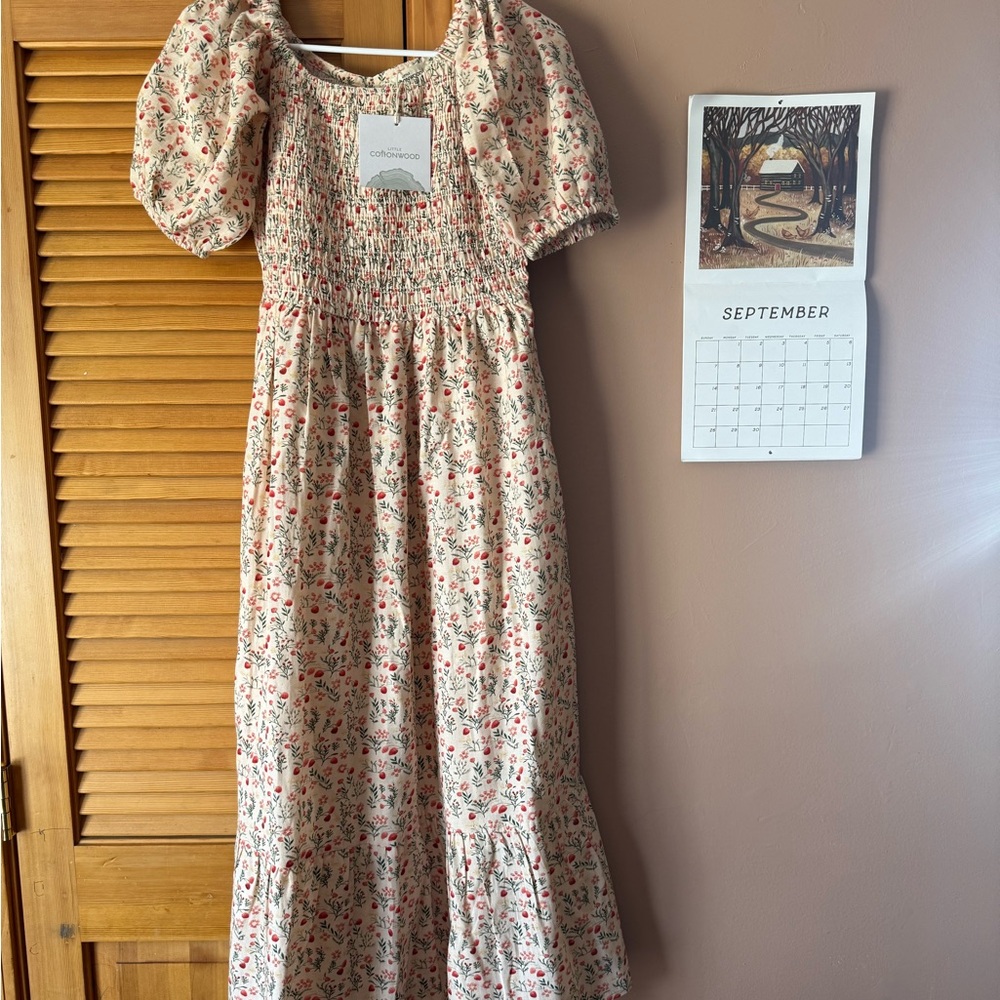 NWT LC Strawberry Parker Dress S - Picture 2 of 3